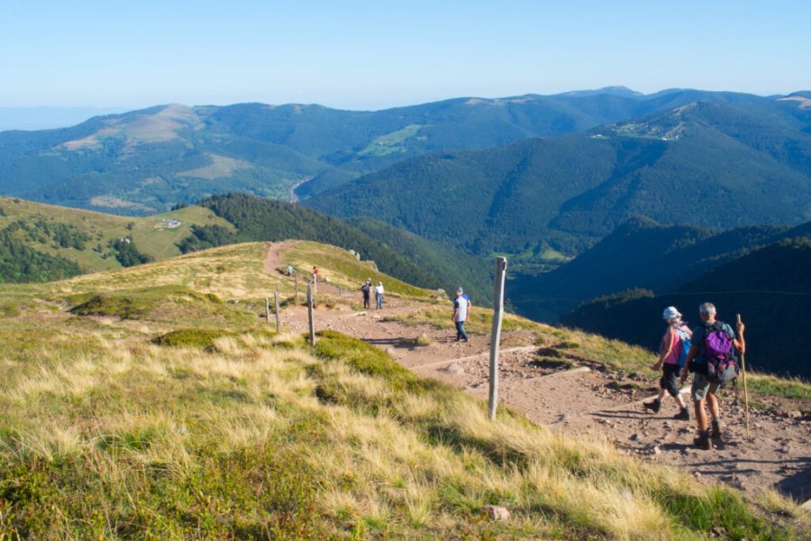 Top 11 des plus belles randonnées à faire en Alsace