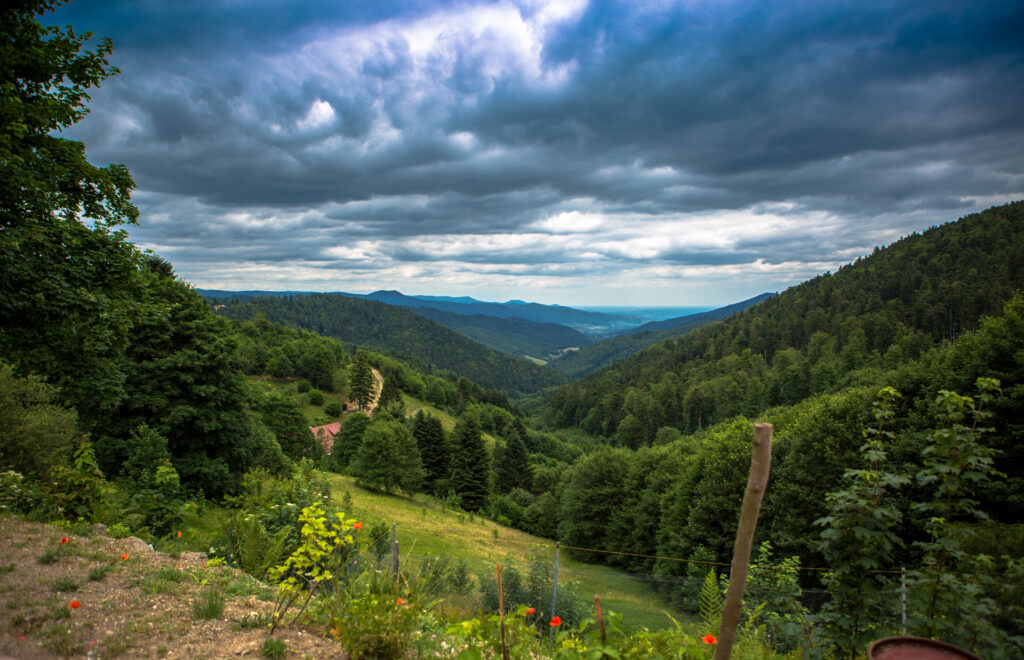 Vue du petit Ballon dans les Vosges en Alsace