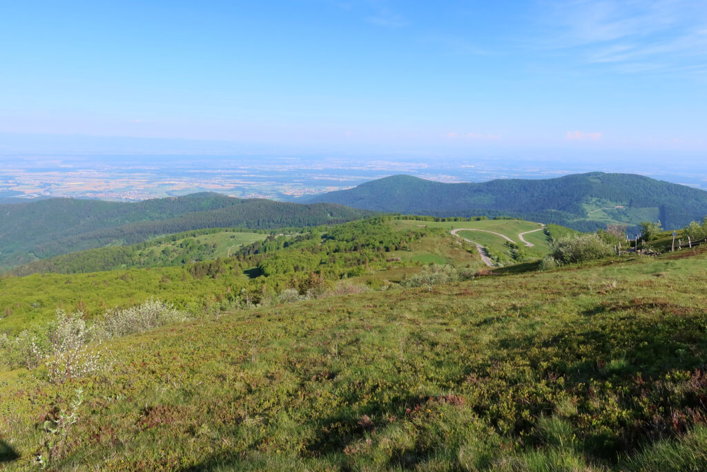 Le Grand Ballon - Massif des Vosges