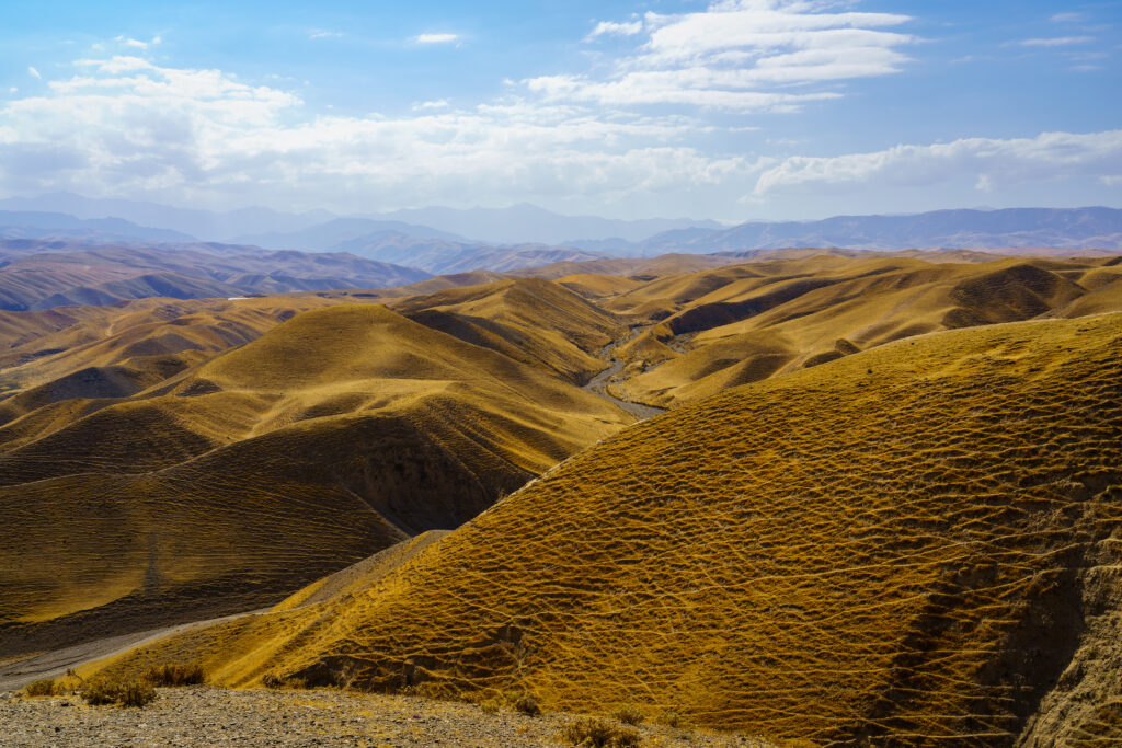 Le parc national de Zaamin 