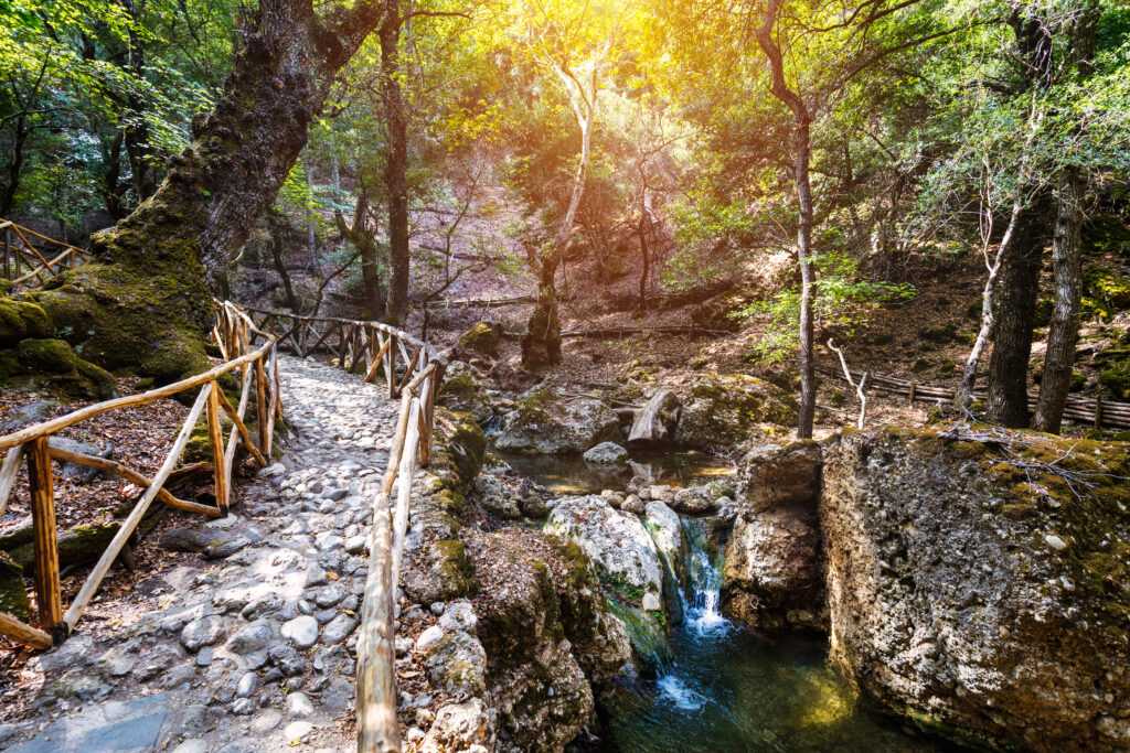 La vallée des papillons à Rhodes