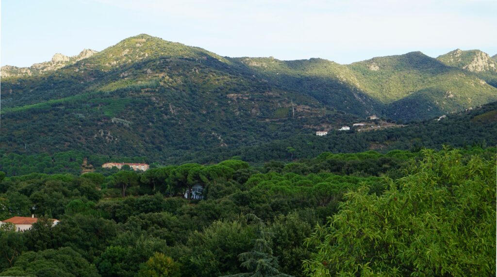 Massif des Albères
