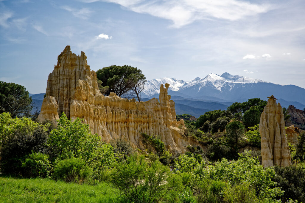Que faire Pyrénées-Orientales ? Orgues d'Ille-sur-Têt 