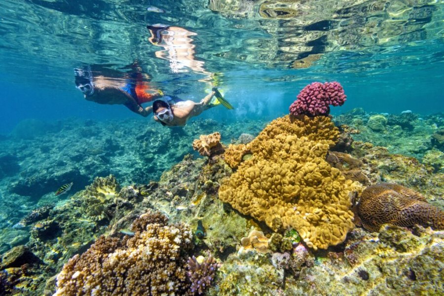 Les 5 expériences incontournables à vivre aux îles Fidji en 2025