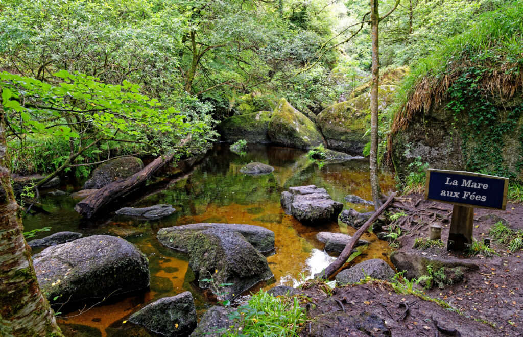 Forêt en Bretagne