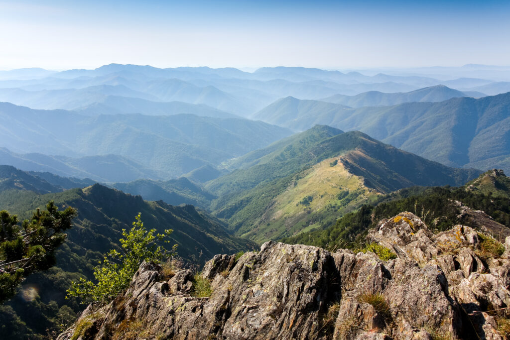Vallée de l'Hérault depuis l'Aigoual