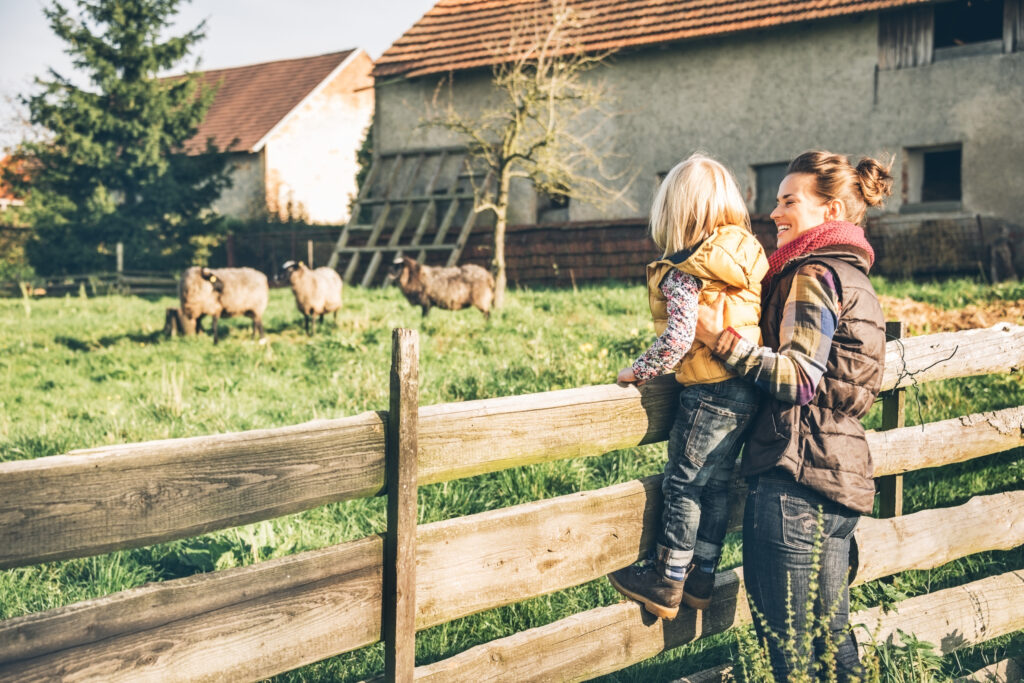 Vacances à la ferme 