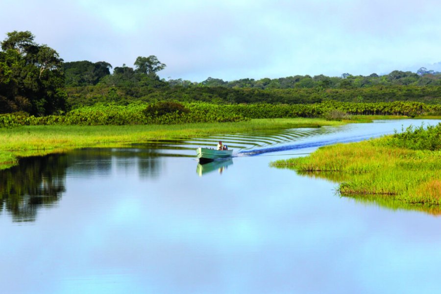 Les merveilles naturelles de la Guyane