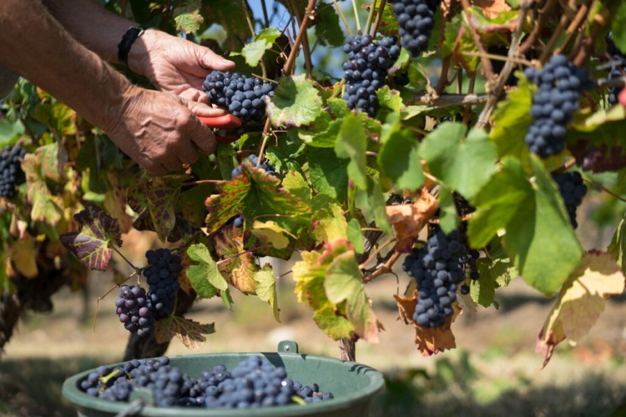  La Bourgogne des Hautes-Côtes : que faire en un week-end ?