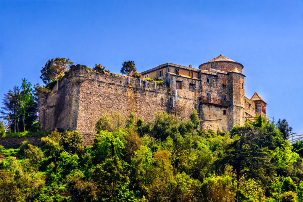 Le château Brown 