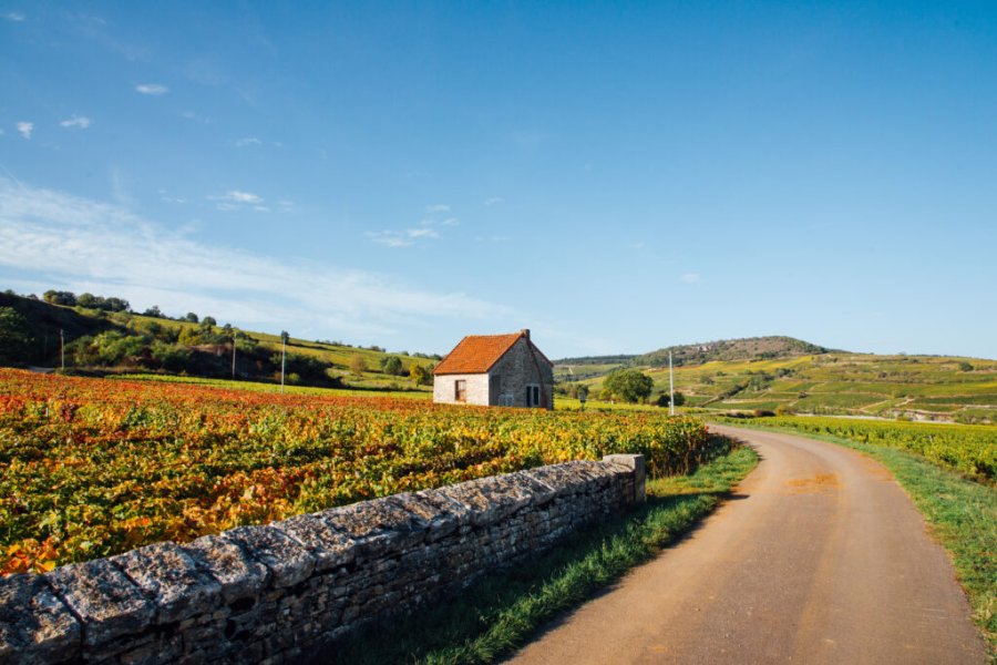 Top 11 Fahrradtouren in Saône et Loire
