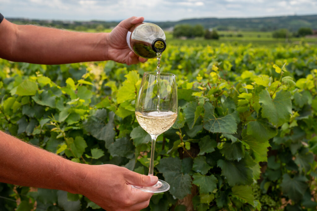 Domaine vins 
