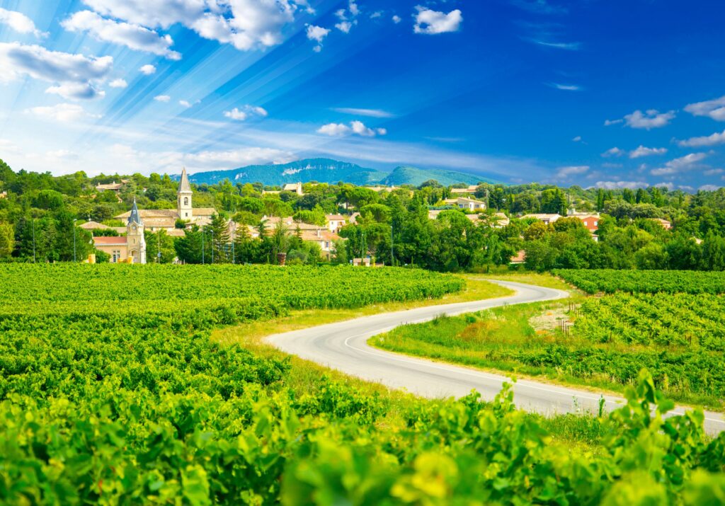 Vignes et village en France 