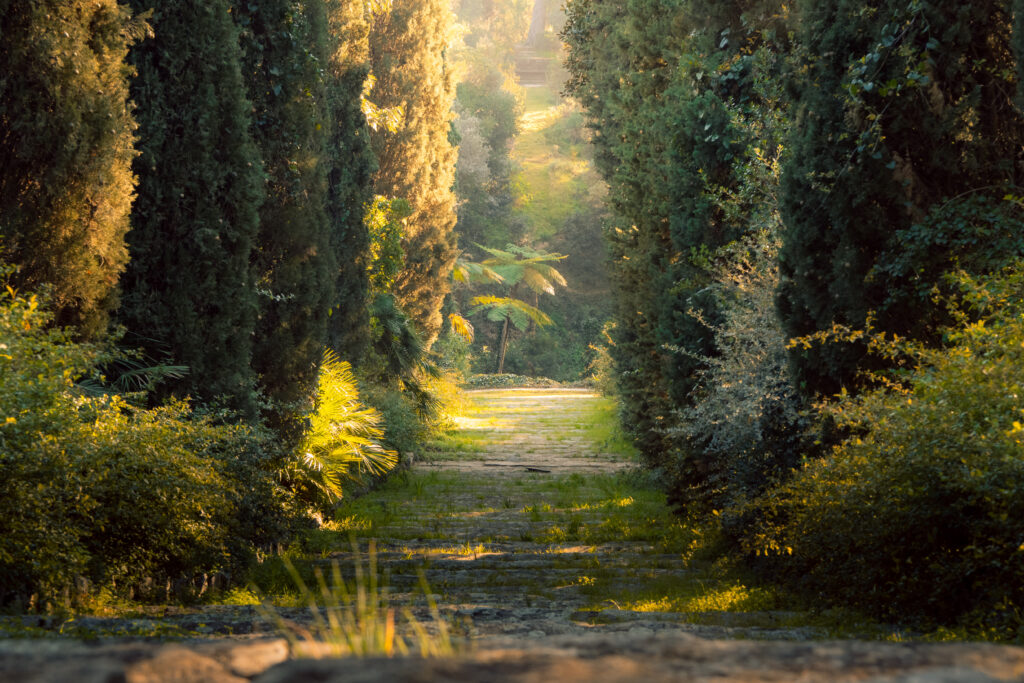 Jardin du Domaine du Rayol 