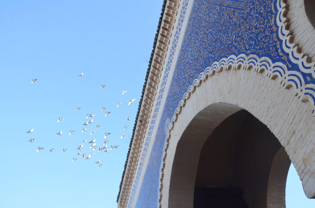 Porte bleue - Bab Boujloud - Fès