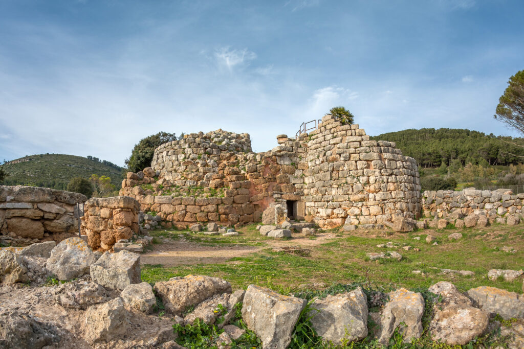 Palmavera