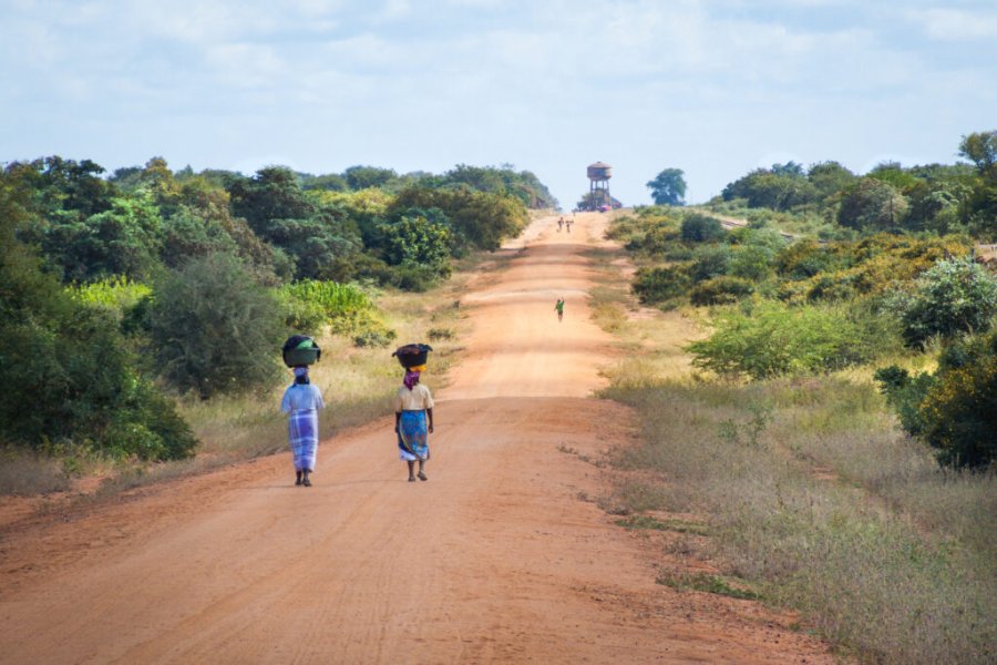 Mozambique: el proyecto para restaurar el mayor manglar de África está a punto de comenzar