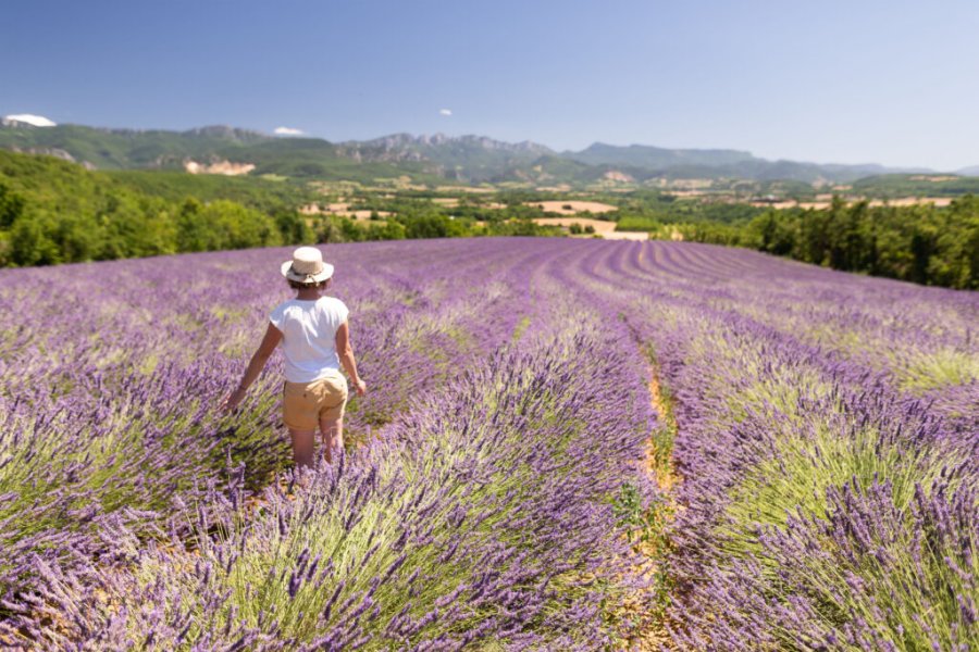 Top 5 des plus belles routes à parcourir en Provence