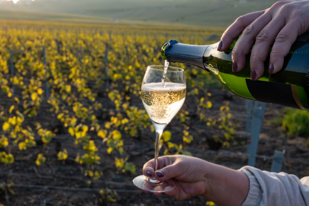 Dégustation de champagne