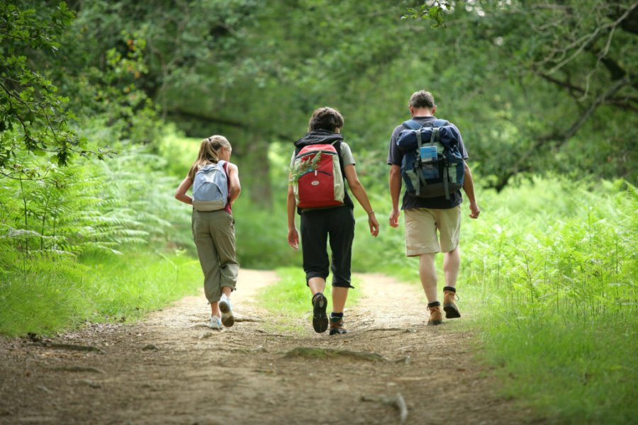 Los 11 mejores paseos por Fontainebleau y sus alrededores