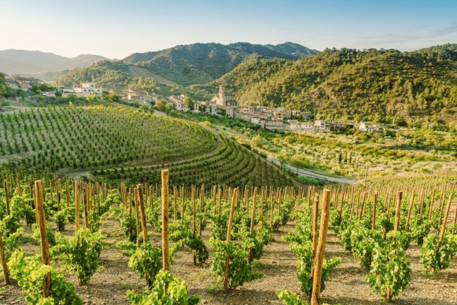 Que faire sur la Costa Daurada en automne ? Les 8 incontournables en 2025