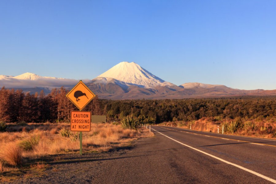 Qué hacer en Nueva Zelanda Los 25 lugares más bonitos para visitar