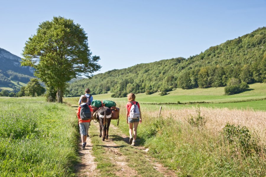 Recorrer la Ruta de Stevenson: itinerario y consejos