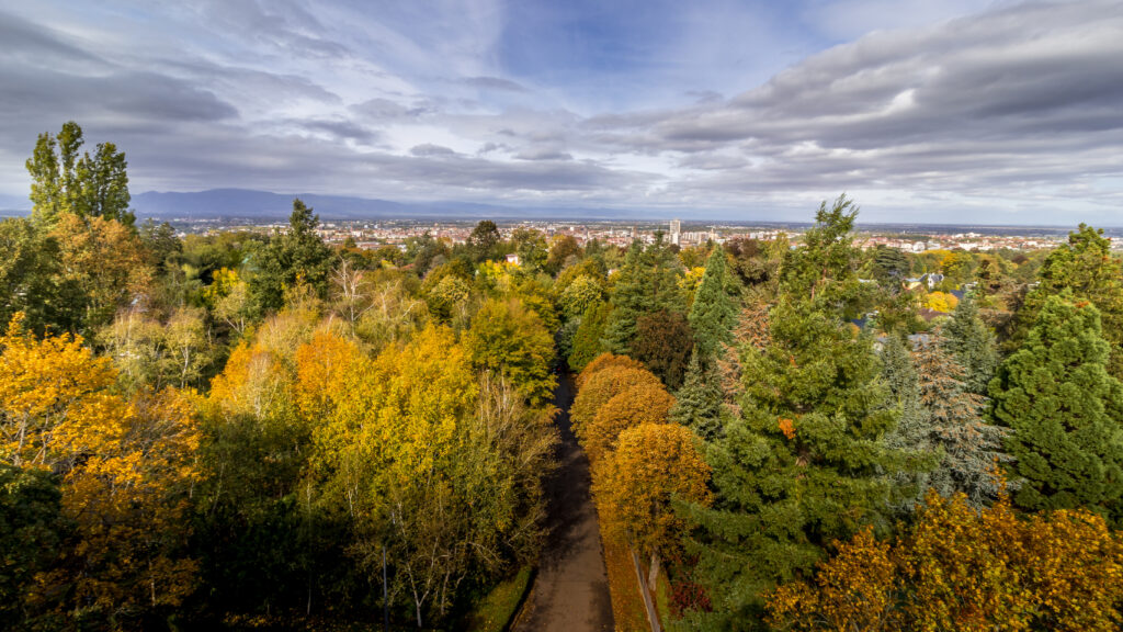 Belvédère de Mulhouse