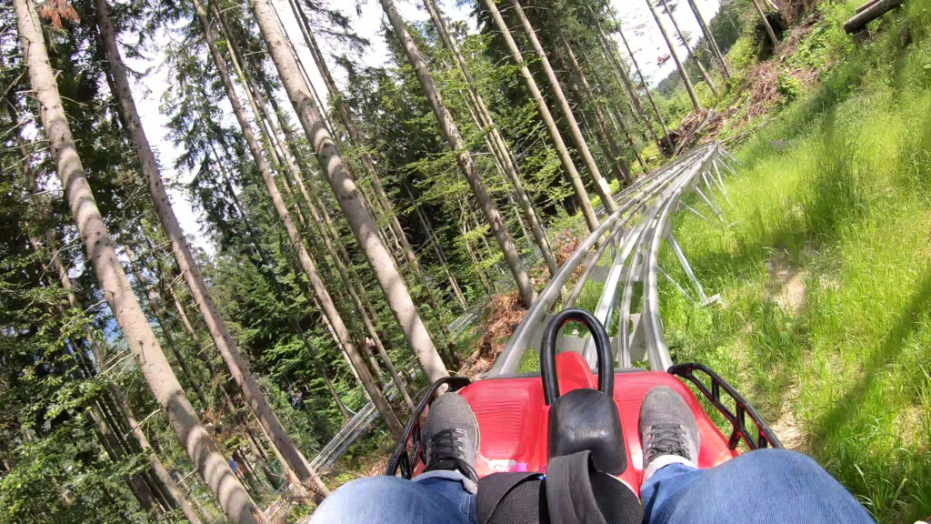Luge 4 saisons