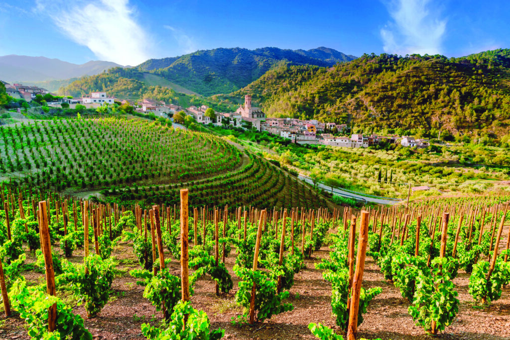Les vignobles du Priorat.
