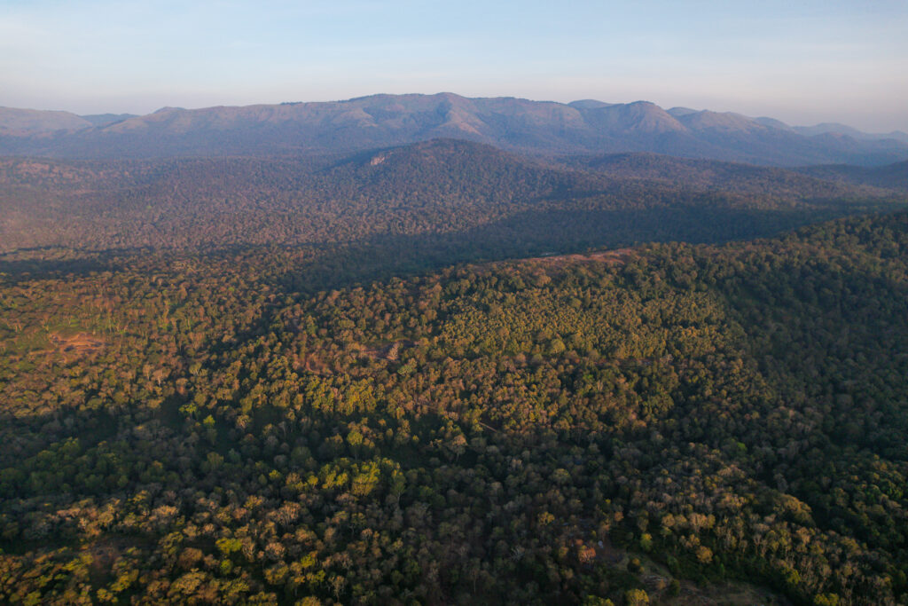 Réserve naturelle de Suriname central
