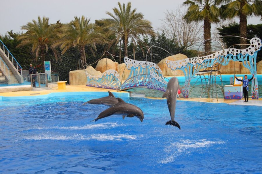 Le parc Marineland d’Antibes annonce sa fermeture définitive