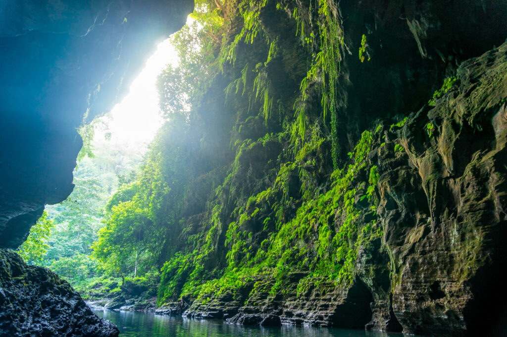 La réserve naturelle de Pananjung Pangandaran
