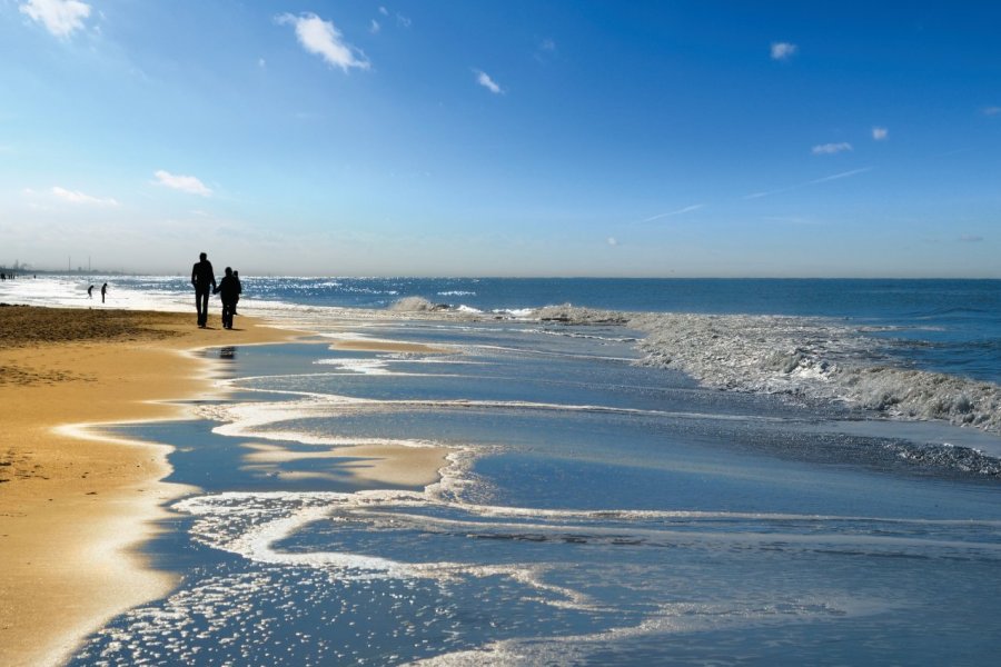 Côte belge, petit coin de dunes