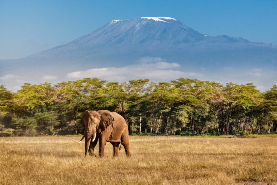 Visitar Tanzania en 15 días: el mejor itinerario en 2025
