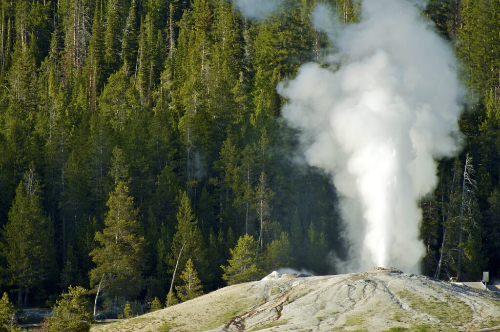 Geyser