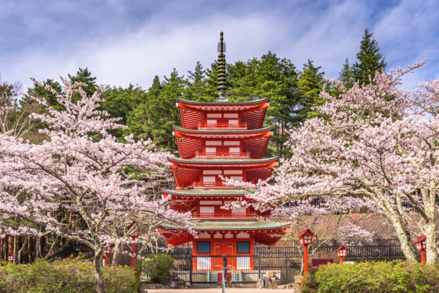 Wo kann man in Japan die Kirschblüte sehen? Die besten Orte in 2025