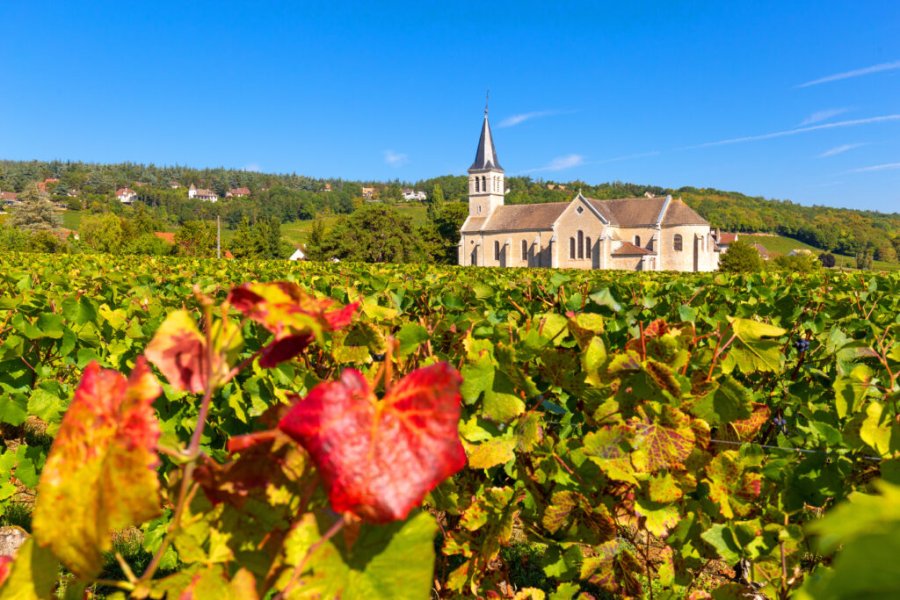 What to do and see in Saône-et-Loire? The 15 most beautiful places in 2025