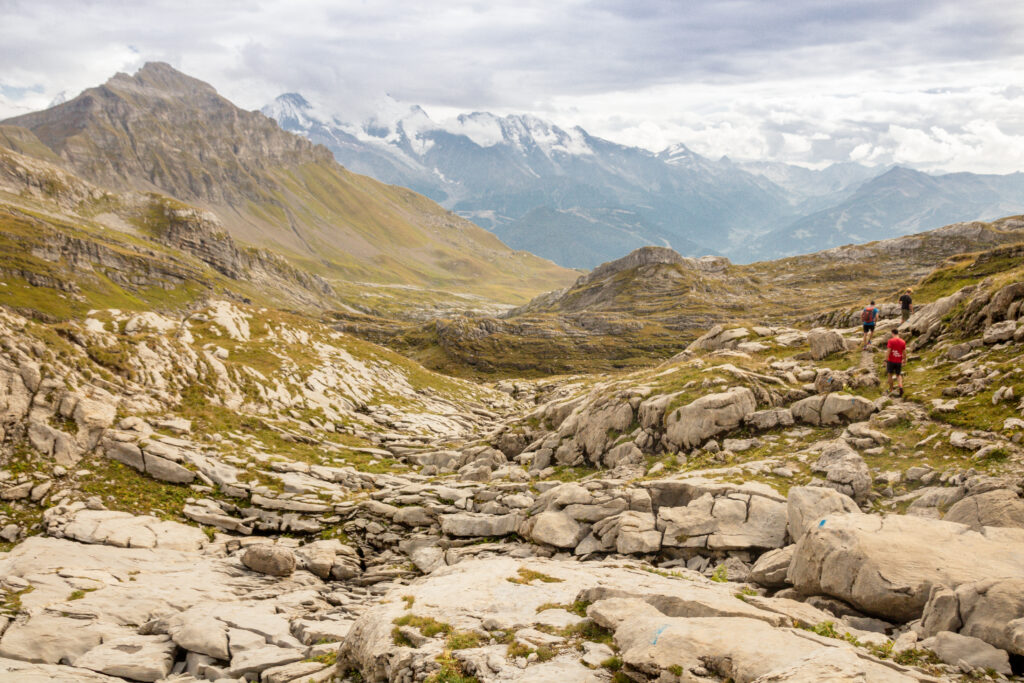Désert de Platé