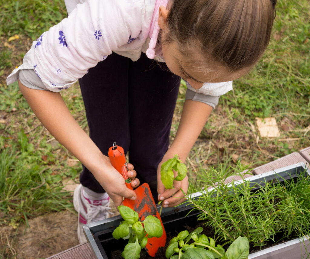 Enfant au potager