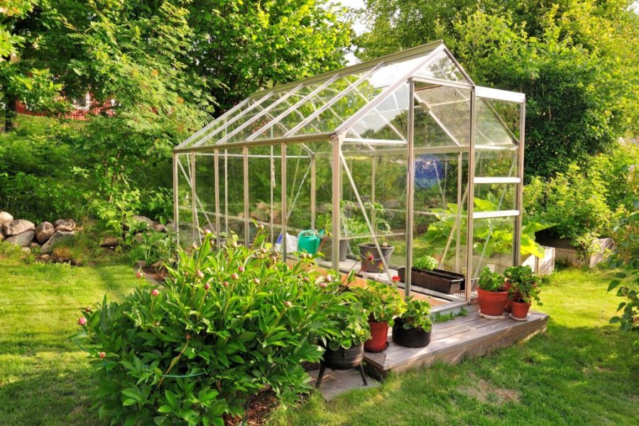 Choisir sa serre de jardin : nos conseils