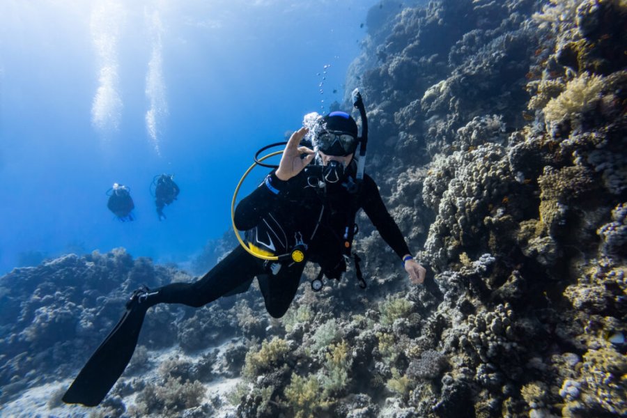 Where to go diving in 2025? The best destinations