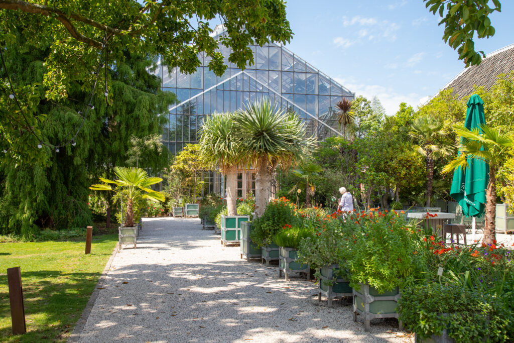 Hortus Botanicus