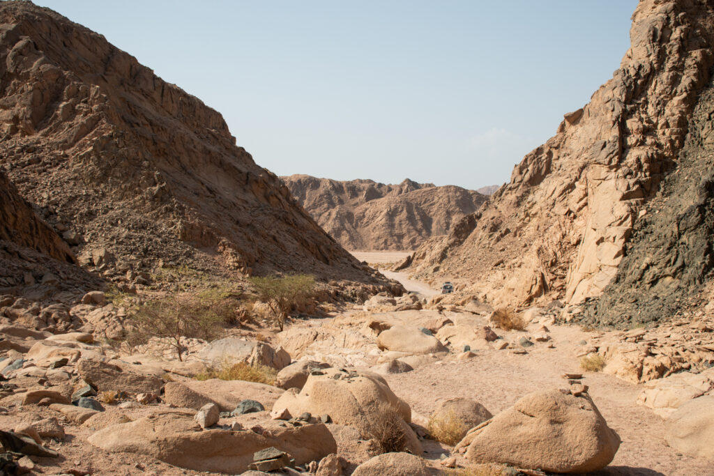 Randonner dans la réserve naturelle de Nabq