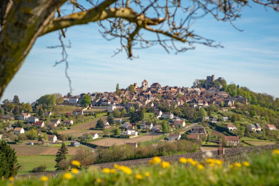 Wine tourism: which vineyards to visit in Sancerre in 2025?