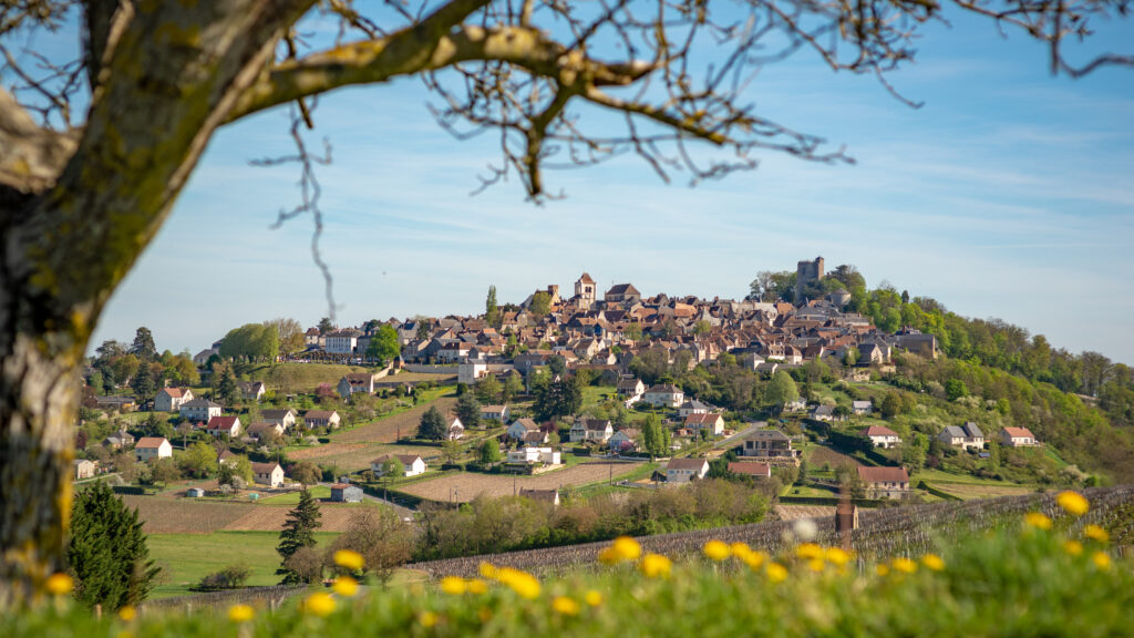 Sancerre et ses vignobles