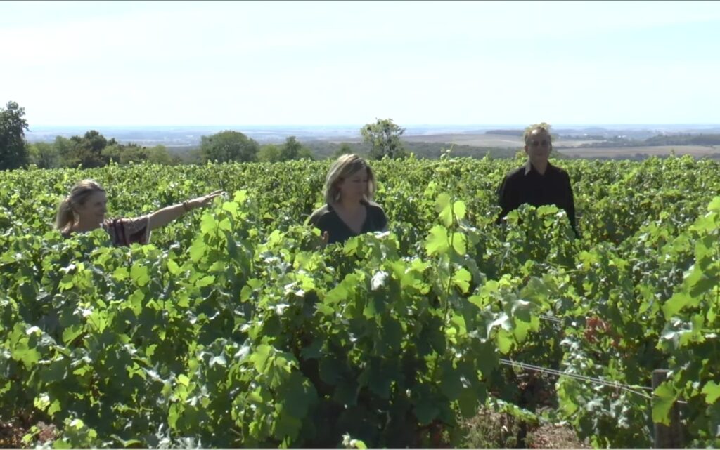 Domaine Henry Natter 