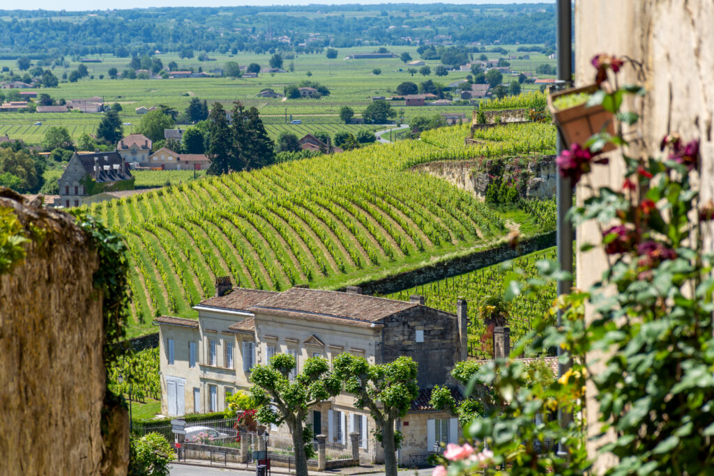Vignobles du village de Saint-Émilion
