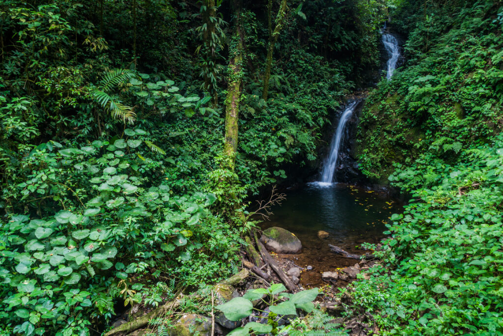 La Cascade San Luis Monteverde, Costa Rica