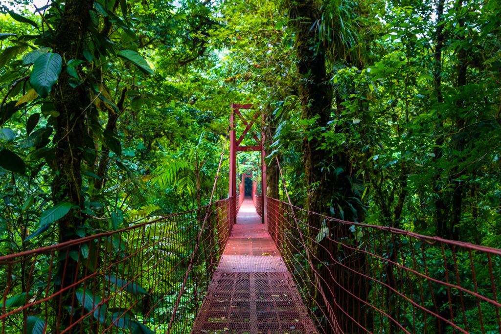 Pont-suspendu à Monteverde - Costa Rica